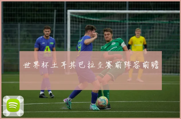 世界杯土耳其巴拉圭赛前阵容前瞻