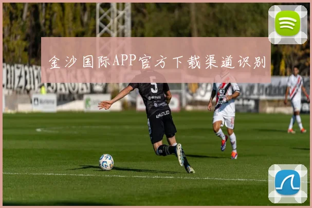 金沙国际APP官方下载渠道识别