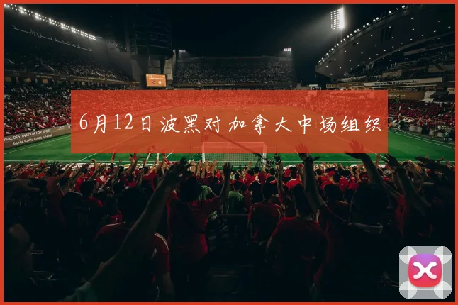 6月12日波黑对加拿大中场组织