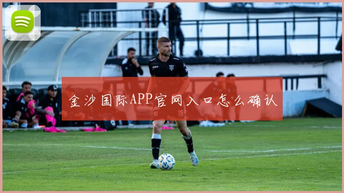 金沙国际APP官网入口怎么确认