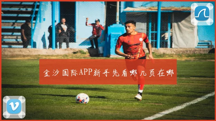 金沙国际APP新手先看哪几页在哪
