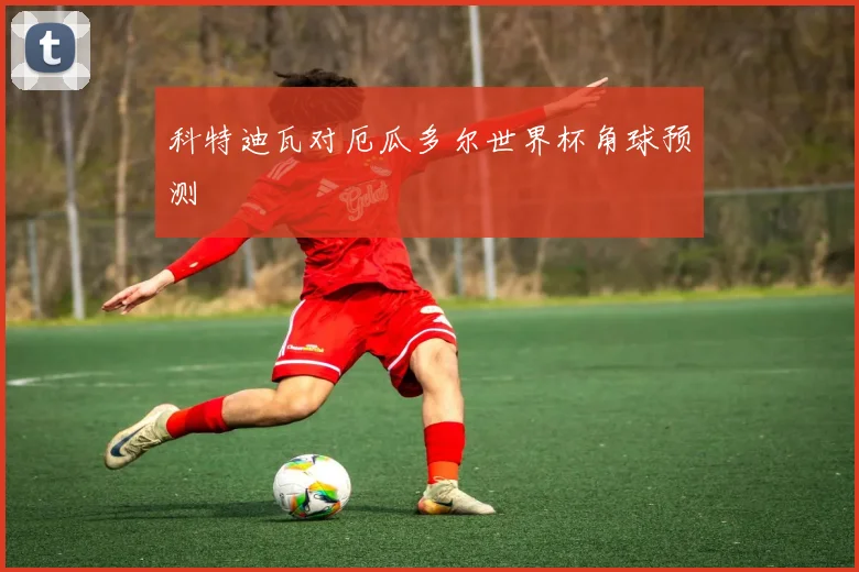 科特迪瓦对厄瓜多尔世界杯角球预测
